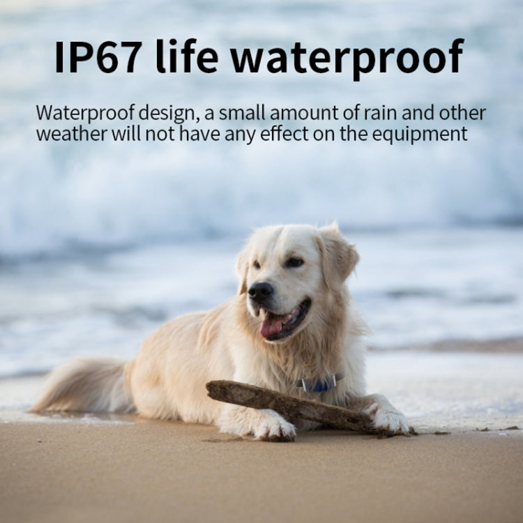 Localizador de perros con rastreador GPS para mascotas a prueba de agua G06 IP67, G12