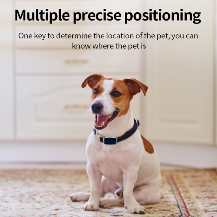 Localizador de perros con rastreador GPS para mascotas a prueba de agua G06 IP67, G12