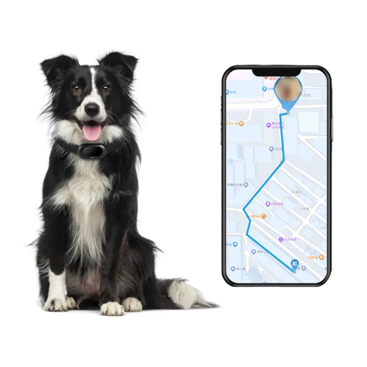 V41 Smart GPS Tracker IP67 Posicionador antipérdida impermeable para mascotas