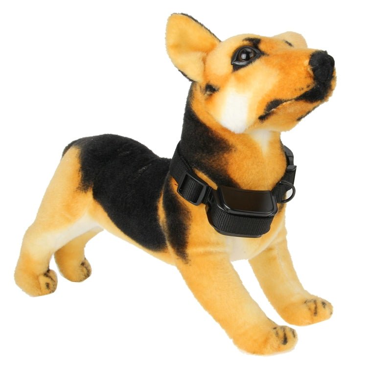 Collar remoto de entrenamiento para perros, recargable e impermeable, 300m, con pantalla LCD, 300m Remote