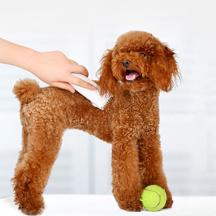Xiaomi-afeitadora profesional Youpin Pawbby para perros, cortapelos para mascotas, máquina de corte de pelo de seguridad eléctrica recargable, Pawbby Dog Professional Razor