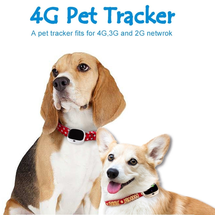 RF-V43 B Estilo IP67 GPS impermeable + LBS + WiFi Localizador de mascotas Dispositivo de seguimiento de collares para mascotas para América del Norte/América del Sur/Australia, RF-V43 B Style (Black), RF-V43 B Style (White)