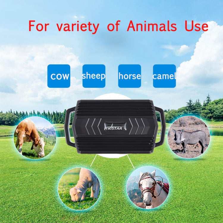 TKSTAR TK935 3000mAh GPS Pet Ganado Car Tracker Localizador a prueba de agua, TK935