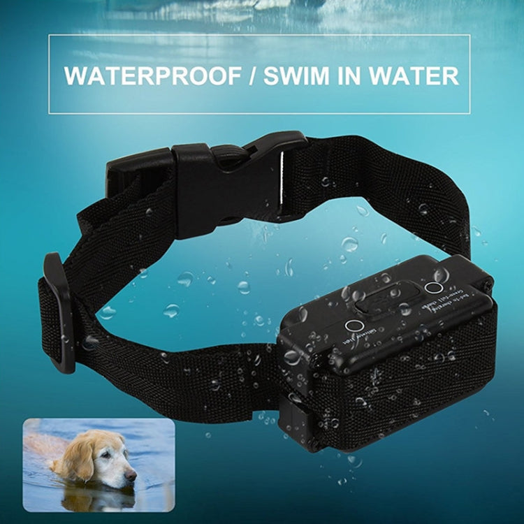 W-227 Sistema de collar de choque para cercas eléctricas para perros y gatos, W-227