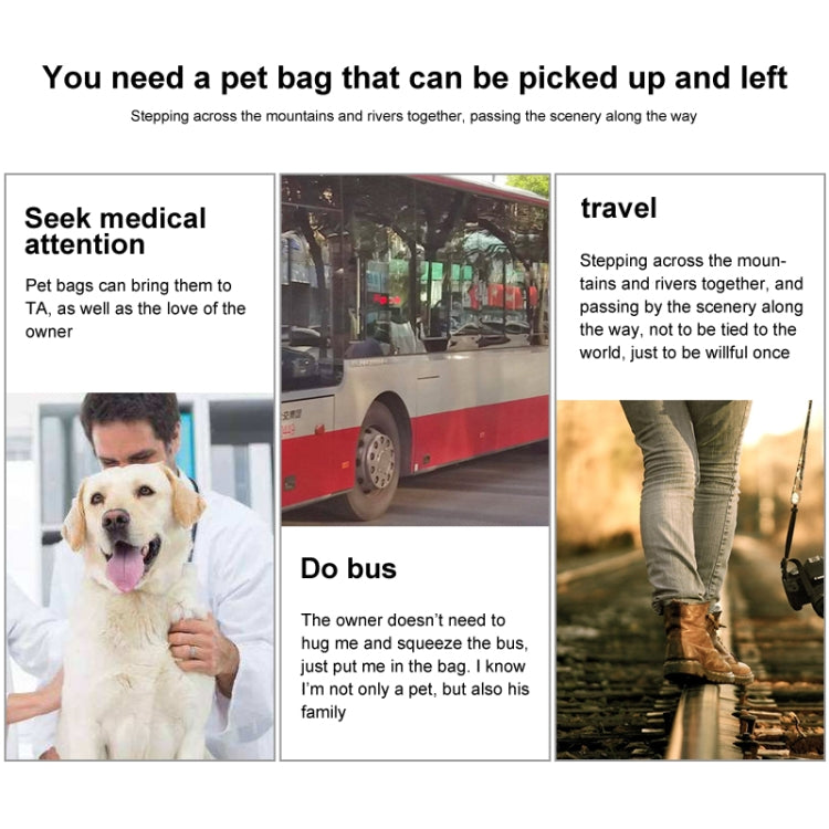 Bolsa plegable portátil para mascotas de EVA
