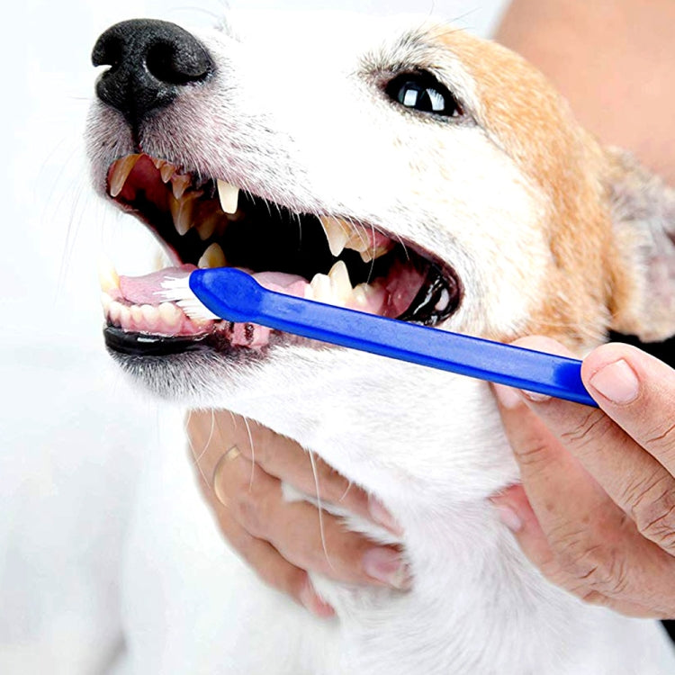20 PCS perro gato eficaz mascotas cuidado bucal cepillo de dientes para mascotas, Blue Handle + Medium Hair