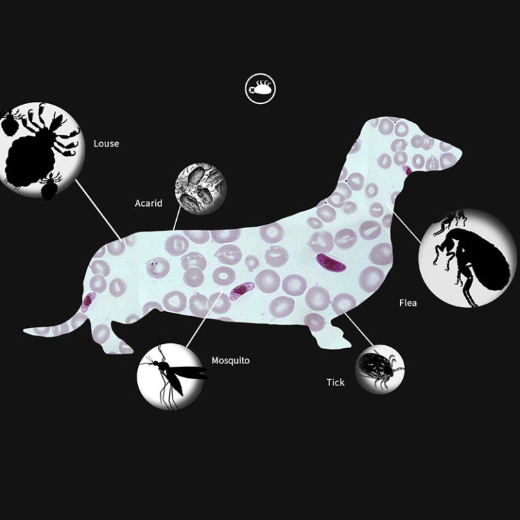 Anillo repelente de insectos in vitro para mascotas con collar antipulgas y piojos para mascotas de 5 piezas, Small Dog/38cm, Large Dog/70cm