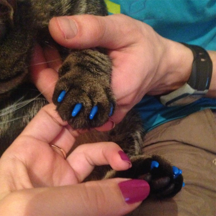 20 PCS Tapas de uñas de gato suaves de silicona / Garra de pata de gato / Protector de uñas para mascotas / Cubierta de uñas de gato