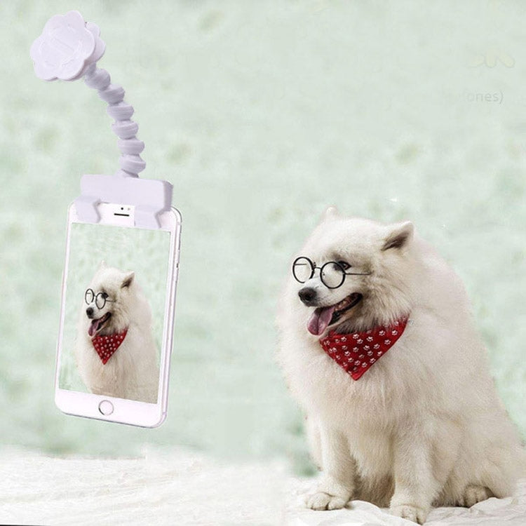 Artefacto de cámara para mascotas, perro, gato, mirando la cámara, Clip para teléfono