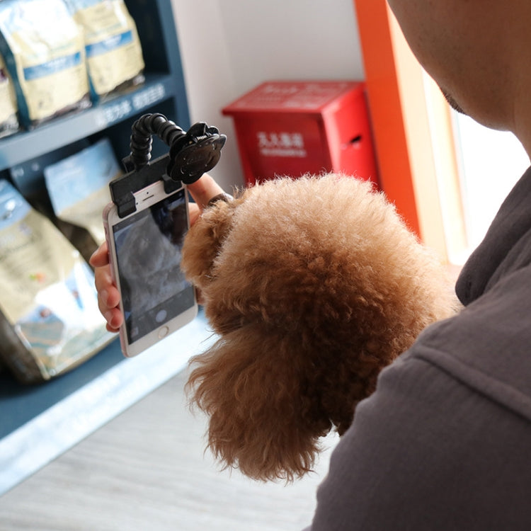 Artefacto de cámara para mascotas, perro, gato, mirando la cámara, Clip para teléfono