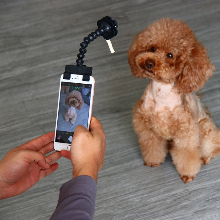 Artefacto de cámara para mascotas, perro, gato, mirando la cámara, Clip para teléfono