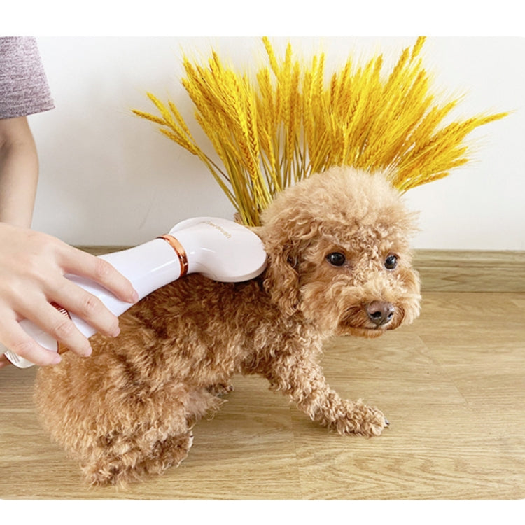 Secador de pelo para mascotas Peine eléctrico para limpieza de perros y gatos, US Plug, UK Plug