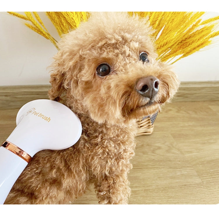 Secador de pelo para mascotas Peine eléctrico para limpieza de perros y gatos, US Plug, UK Plug