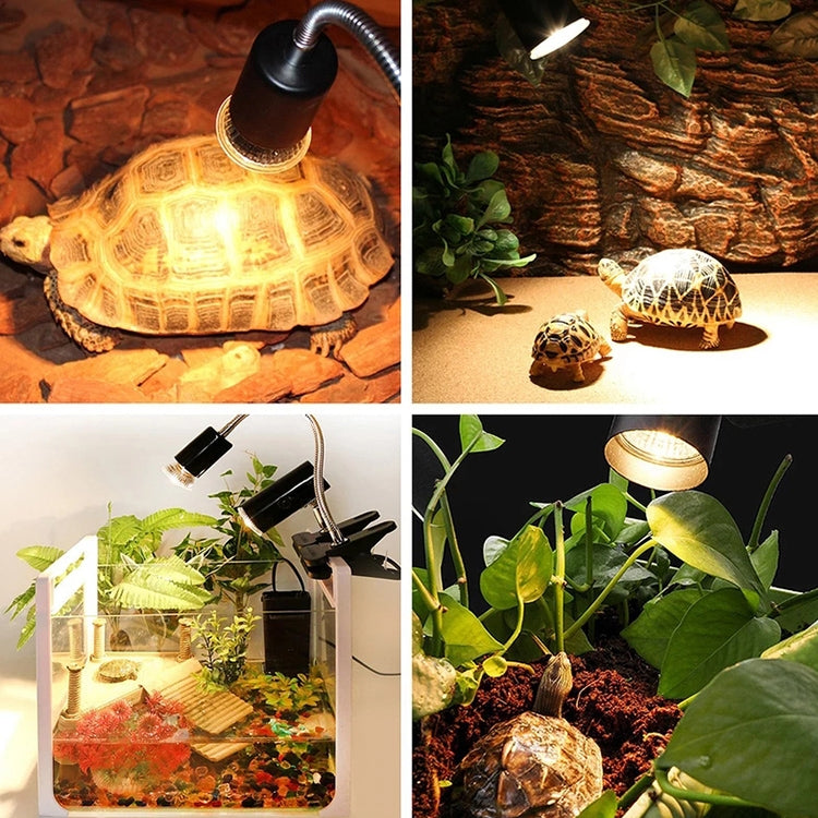 Soporte para lámpara de bronceado UVB de tortuga, soporte de luz de calefacción Solar para mascotas de espectro completo, enchufe de la UE, EU Plug