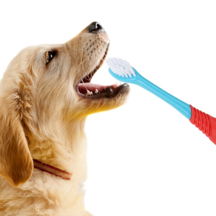 10 cepillos de dientes de doble cabeza para mascotas, productos de limpieza bucal para mascotas, Double-Head Toothbrush
