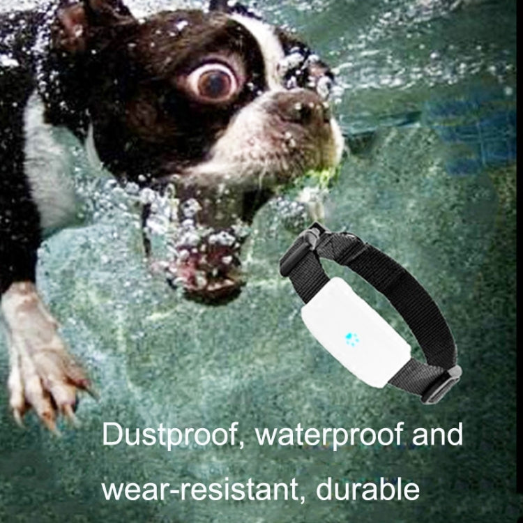 Rastreador GPS a prueba de agua para mascotas TK911, TK911