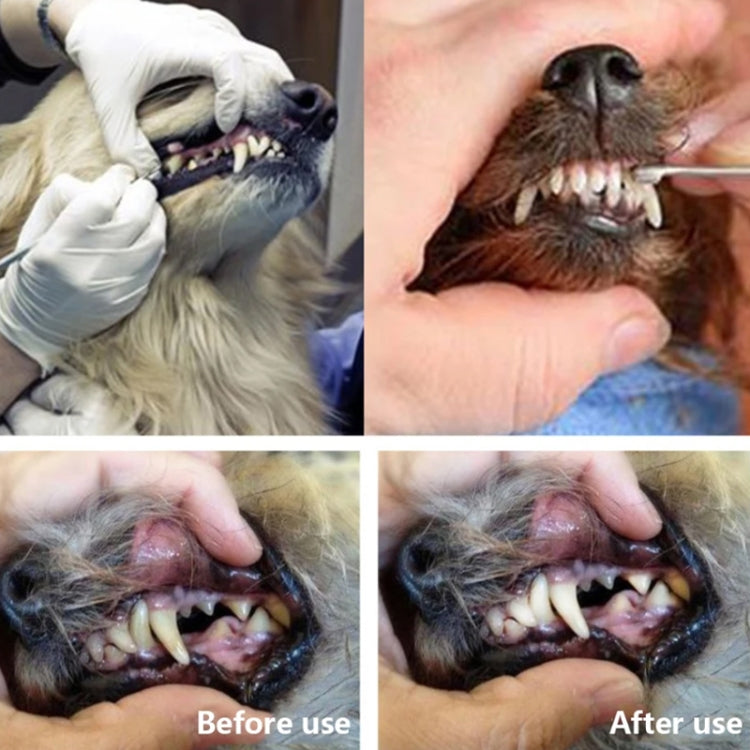 Raspador de punta de descalcificación para perros, herramienta de limpieza de dientes para mascotas