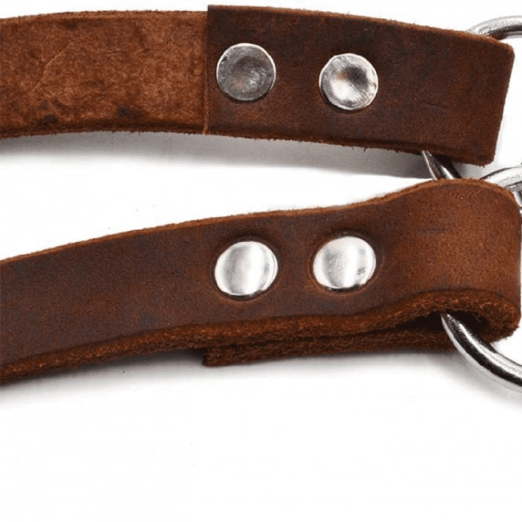 Collar de cadena para perro de cuero con forma de media P, M, L, XL