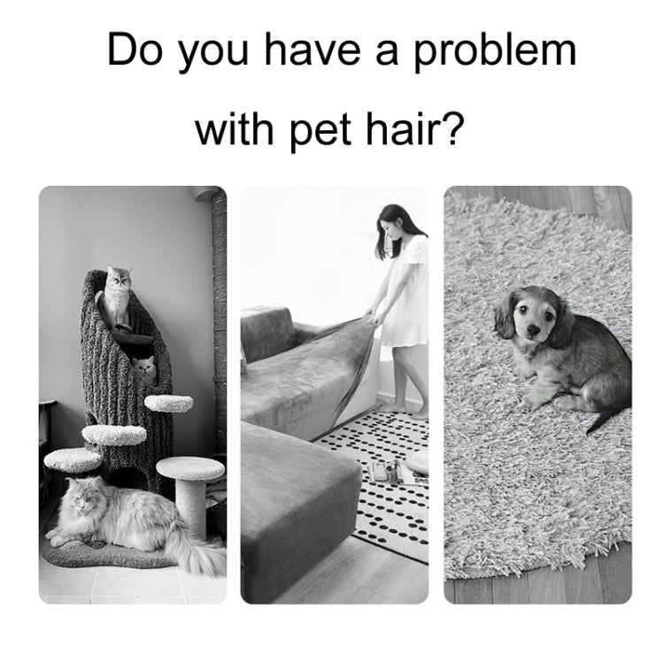 Cepillo para alfombras con forma triangular para gatos y perros, removedor de pelo para sofá, arena para mascotas