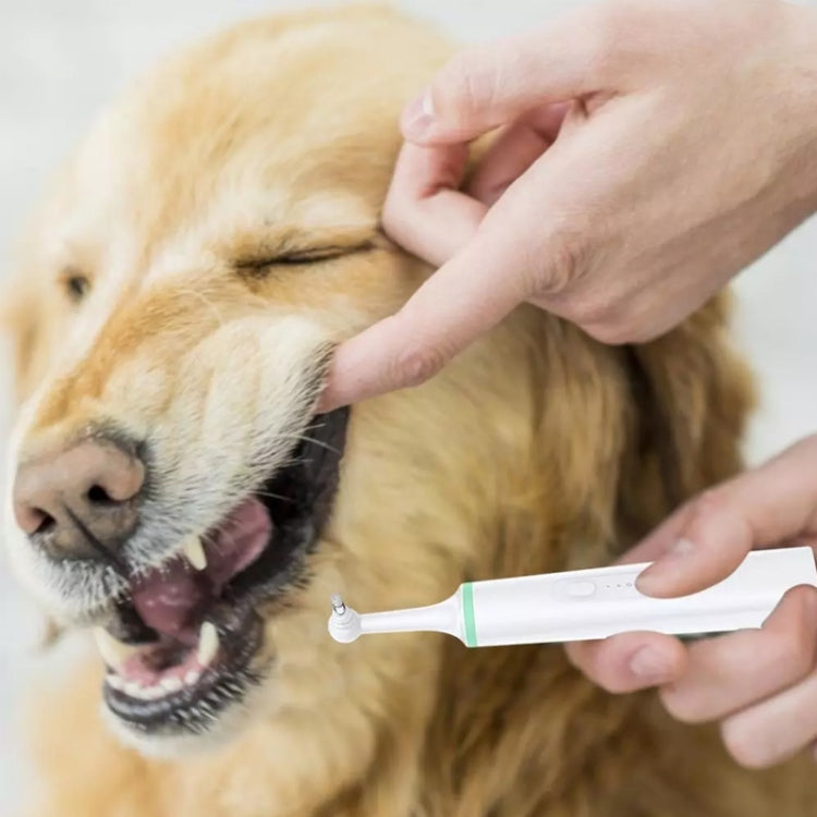 Cepillo de dientes eléctrico para mascotas, pulidor de dientes, herramienta de eliminación de placa de limpieza bucal