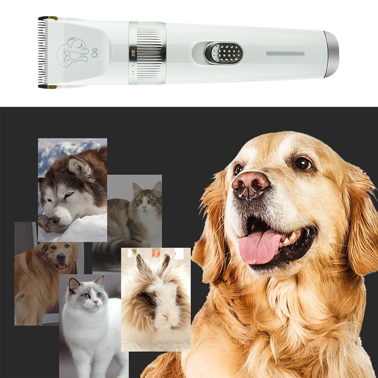 Afeitadora eléctrica para mascotas con carga USB Q6 y cuatro peines, Q6 Shaver
