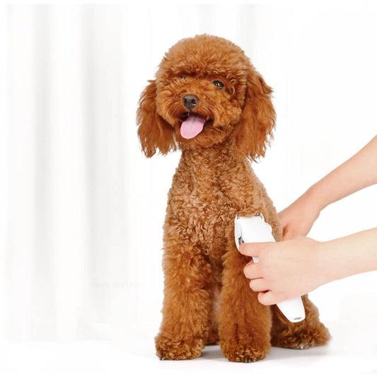 Xiaomi-afeitadora profesional Youpin Pawbby para perros, cortapelos para mascotas, máquina de corte de pelo de seguridad eléctrica recargable, Pawbby Dog Professional Razor