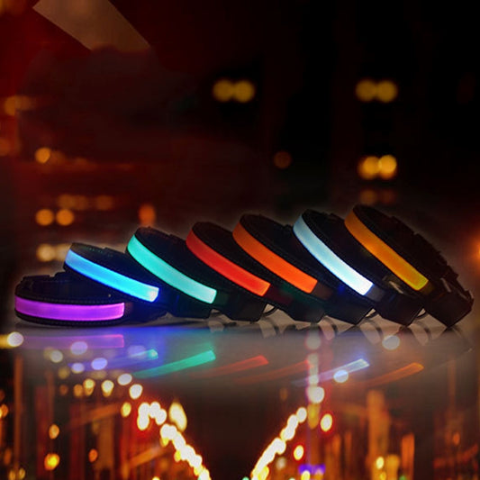 Collar con luz LED solar + carga USB para mascotas para perros medianos y grandes, tamaño de circunferencia del cuello: S, 35-40 cm, Size: S