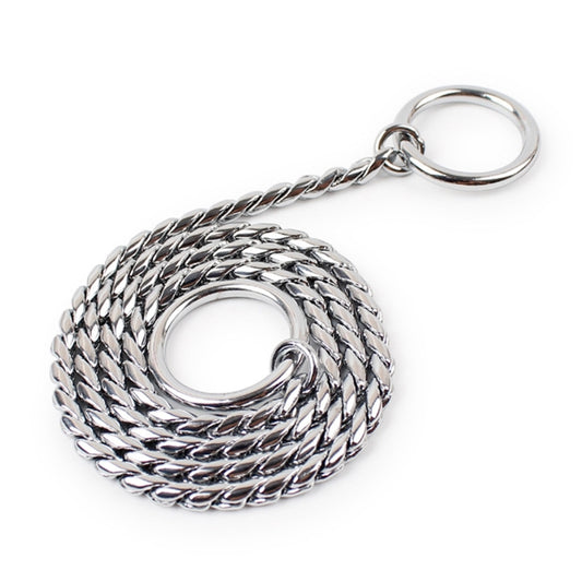 55 cm Pet P Cadena Collares para mascotas Correa para el cuello para mascotas Banda para el cuello para perros Cadena de serpiente Collar para perros con cadena para perros, 55cm