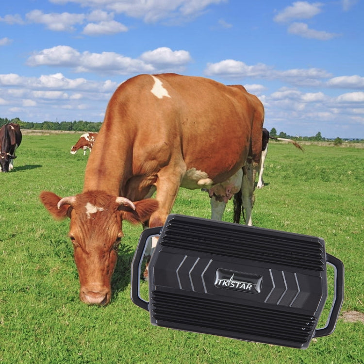 TKSTAR TK935 3000mAh GPS Pet Ganado Car Tracker Localizador a prueba de agua, TK935
