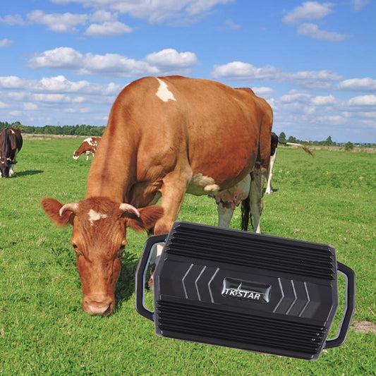 TKSTAR TK935 3000mAh GPS Pet Ganado Car Tracker Localizador a prueba de agua, TK935