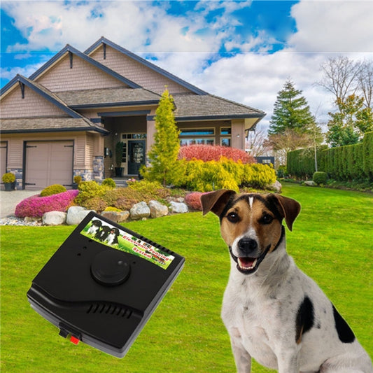 W-227 Sistema de collar de choque para cercas eléctricas para perros y gatos, W-227
