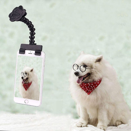 Artefacto de cámara para mascotas, perro, gato, mirando la cámara, Clip para teléfono