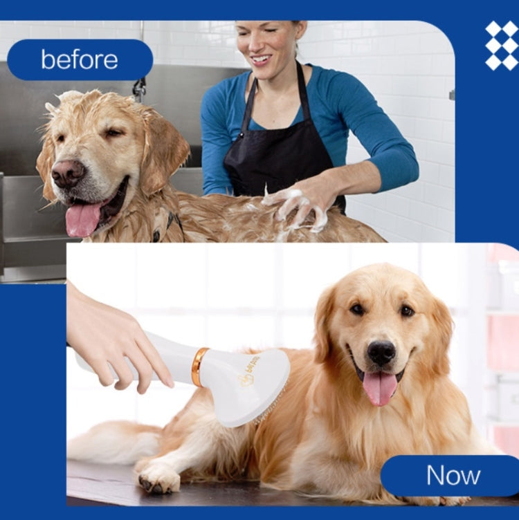 Secador de pelo para mascotas Peine eléctrico para limpieza de perros y gatos, US Plug, UK Plug