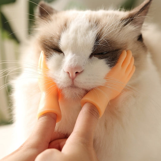 3 uds. Cunas de masaje para mascotas y guantes para gatos, Massage Finger