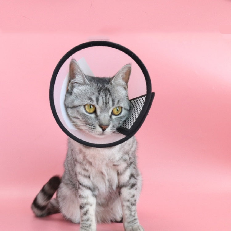 2 piezas de protección para mascotas, collar antimordida para gatos y perros después del cosmético y la operación, No.7, No.6, No.5, No.4, No.3