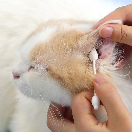 2 cajas de bastoncillos de algodón para mascotas suministros de limpieza de orejas de perros y gatos, Pet Cotton Swabs