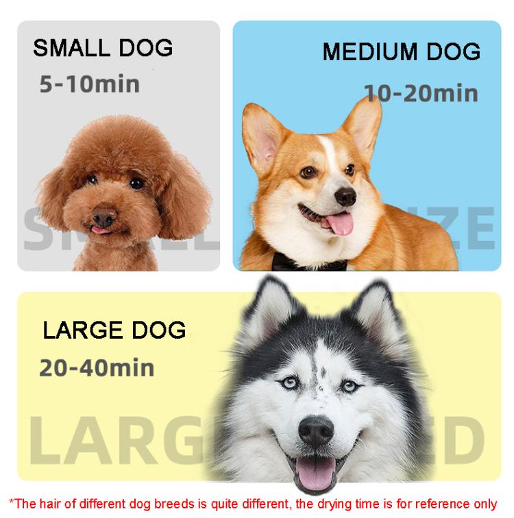 Secador para perros de 2100 W, velocidad continua, chorro de pelo para mascotas con aspiradora
