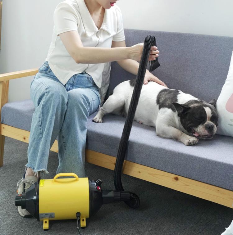 Secador para perros de 2100 W, velocidad continua, chorro de pelo para mascotas con aspiradora