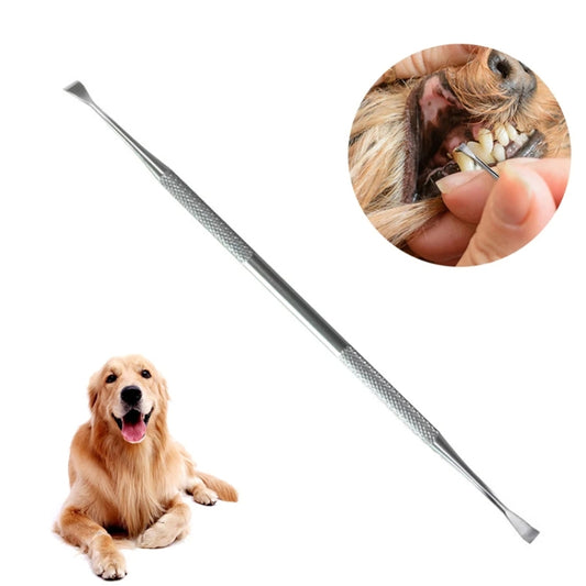 Raspador de punta de descalcificación para perros, herramienta de limpieza de dientes para mascotas