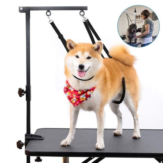 3 unids/set baño de mascotas mesa de belleza cordón fijo cuerda de remolque para perros
