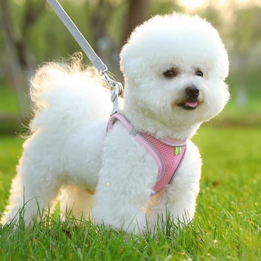 Arnés de pecho para mascotas estilo camiseta interior Correa reflectante transpirable de verano para perros, Blue+1.5m Flat Rope, Green+1.5m Flat Rope, Pink+1.5m Flat Rope