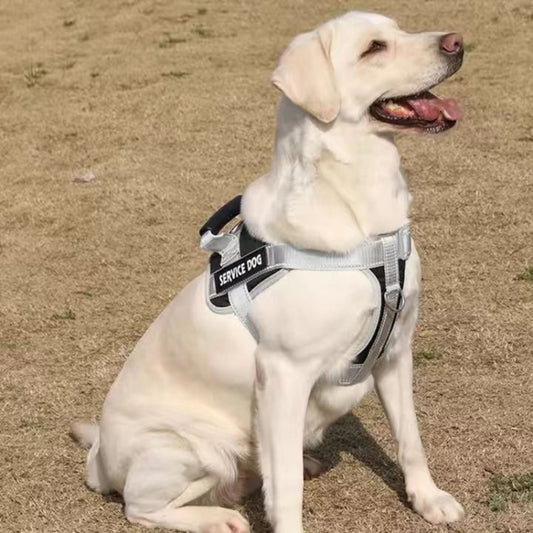 Arnés de pecho a prueba de explosiones para perros grandes Correa de viaje para perros, Single Black, Single Red, Single Pink, Black+1.5m Round Rope, Red+1.5m Round Rope, Pink+1.5m Round Rope), Black+2m Round Rope, Red+2m Round Rope, Pink+2m Round Rope