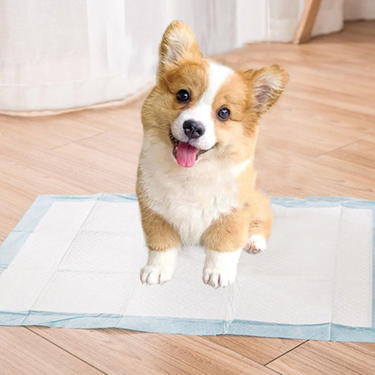 Almohadillas de entrenamiento para mascotas Almohadilla para pañales para perros absorbente de agua espesa, S 33 x 45cm 100pcs / Pack, M 45 x 60cm 50pcs / Pack, L 60 x 60cm 40pcs / Pack, XL 60 x 90cm 20pcs / Pack